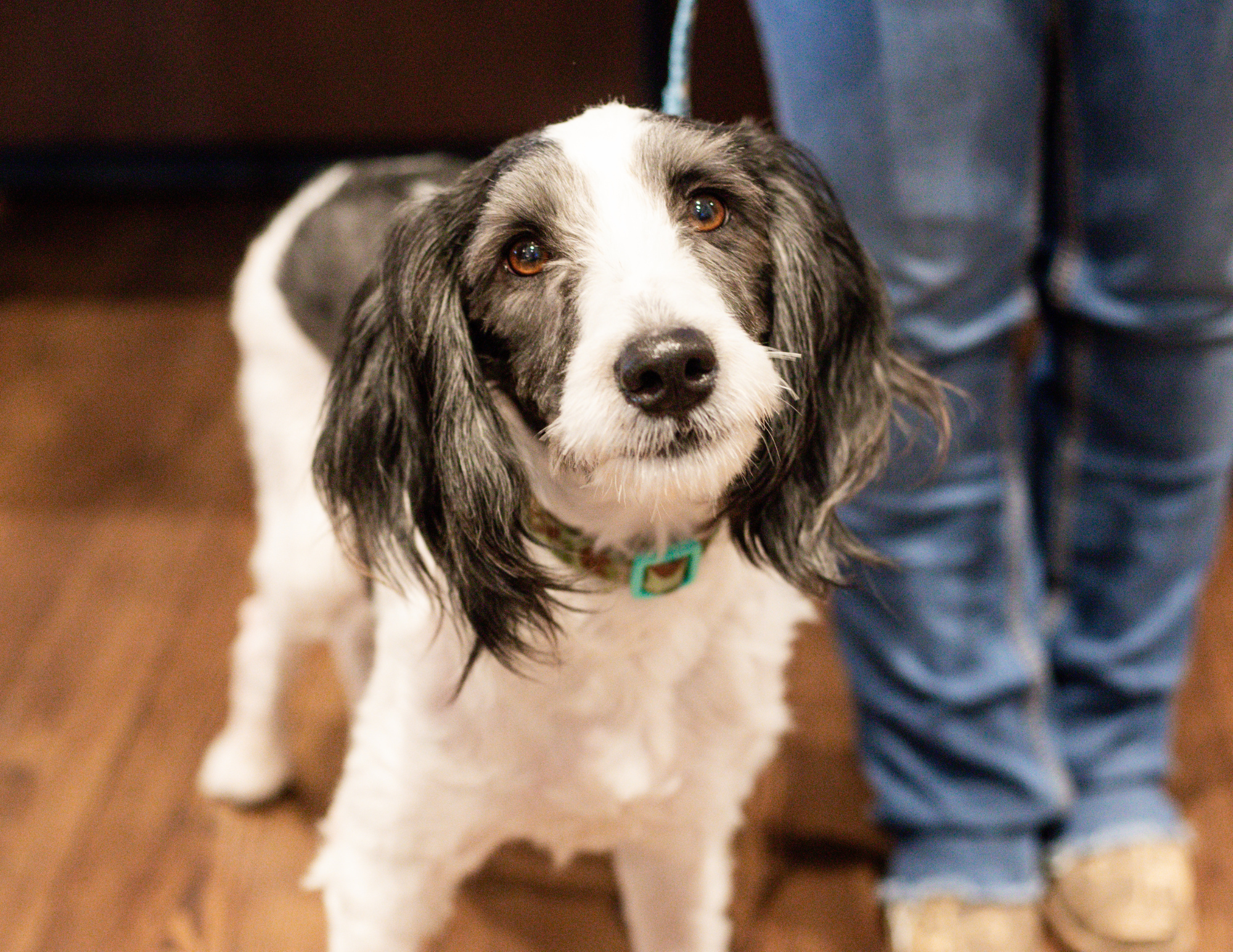 Guardian Angel Society Membership - Image 15