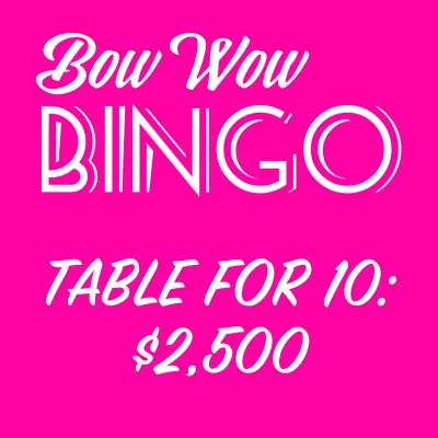 Bow Wow Bingo Table for 10