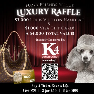 Luxury Raffle | 8 Tickets