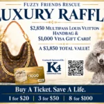 Luxury Raffle | 1 Ticket