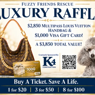 Luxury Raffle | 1 Ticket